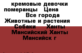 кремовые девочки померанцы › Цена ­ 30 000 - Все города Животные и растения » Собаки   . Ханты-Мансийский,Ханты-Мансийск г.